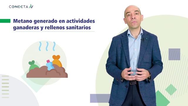 Descarbonización e Innovación Biobío Conecta-I