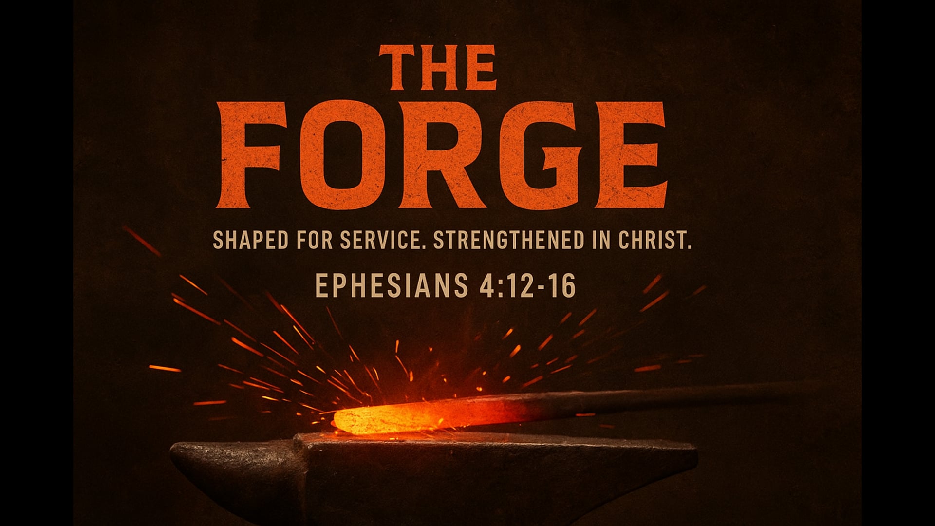 Session 15- How to Study the Bible
