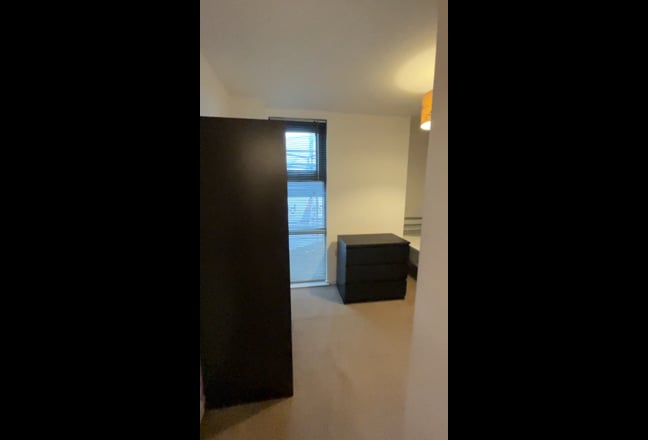 Female flatmate needed Main Photo