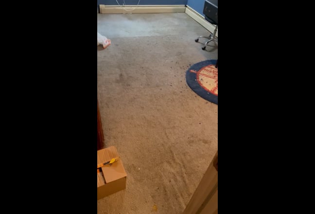 Looking for an immediate move in Main Photo
