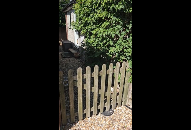 Video 1: 