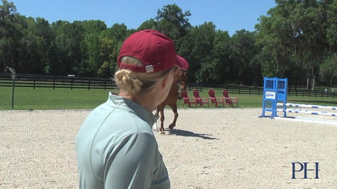 Adjustability | Sara Kozumplik | TRAILER