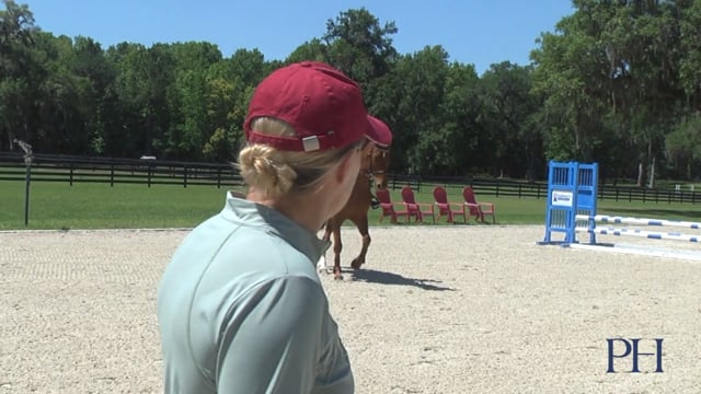Adjustability | Sara Kozumplik | TRAILER