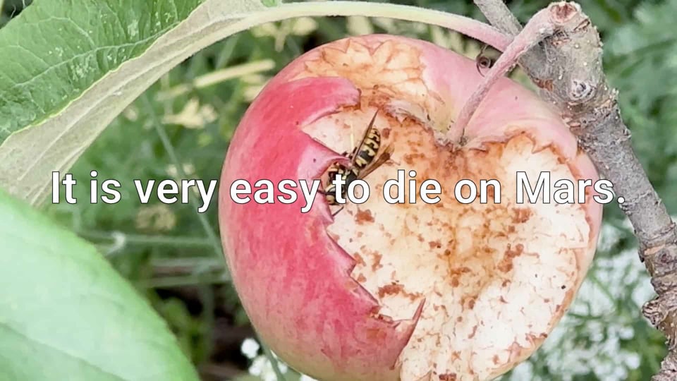 Maybe…EARTH
