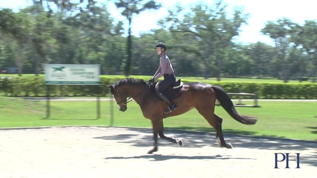 Adjustability | Sara Kozumplik
