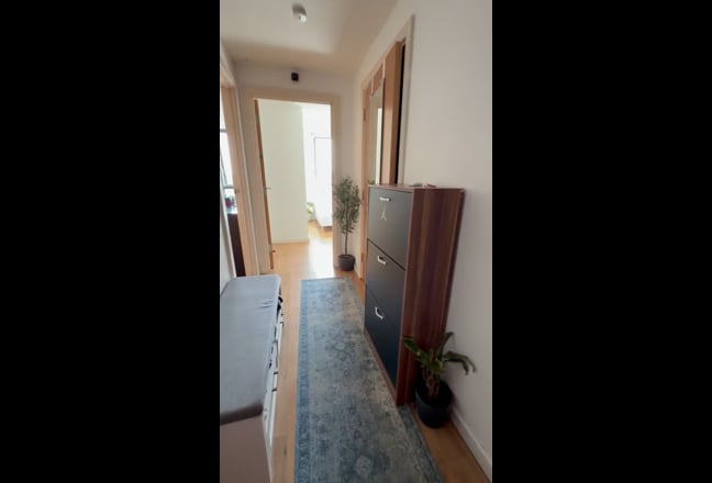Video 1: 