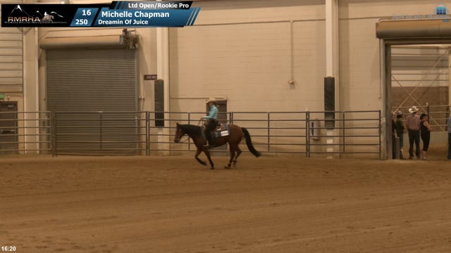 #250 Michelle Chapman
