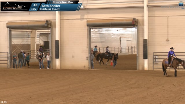 #375 Beth Sneller