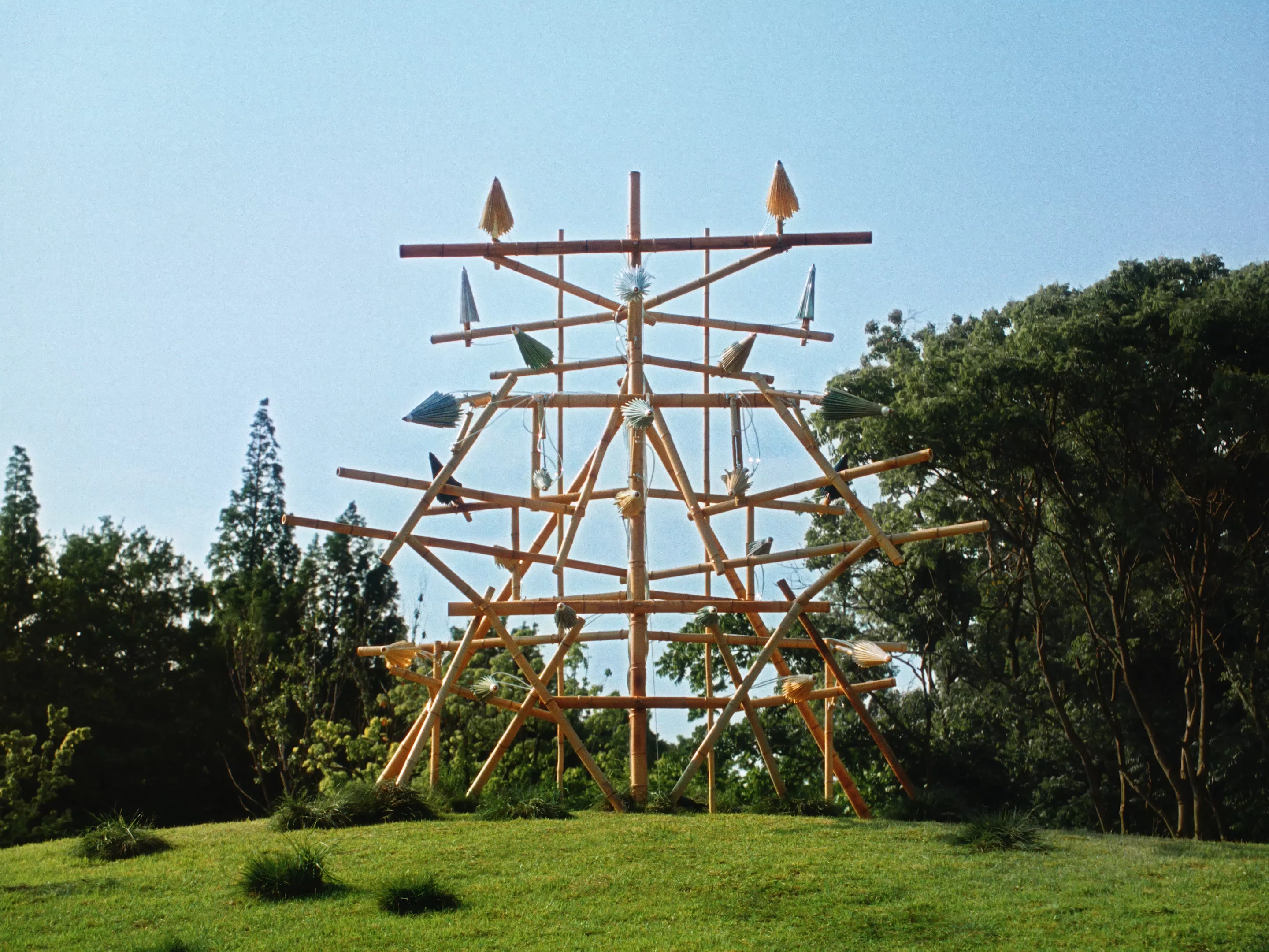 Motion — Lisa Jahovic, Mini Title 2026