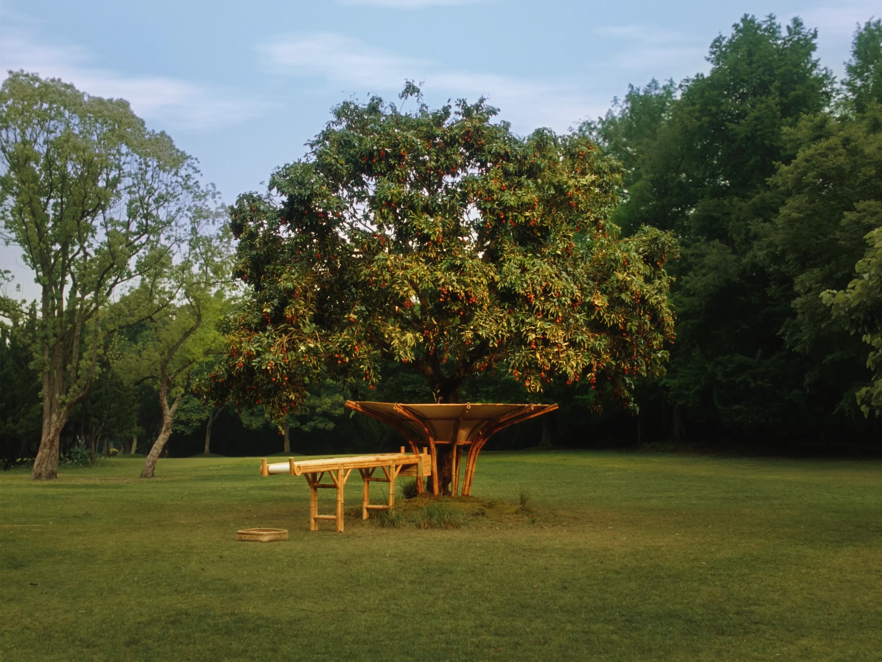 Motion — Lisa Jahovic, Mini Title 2026
