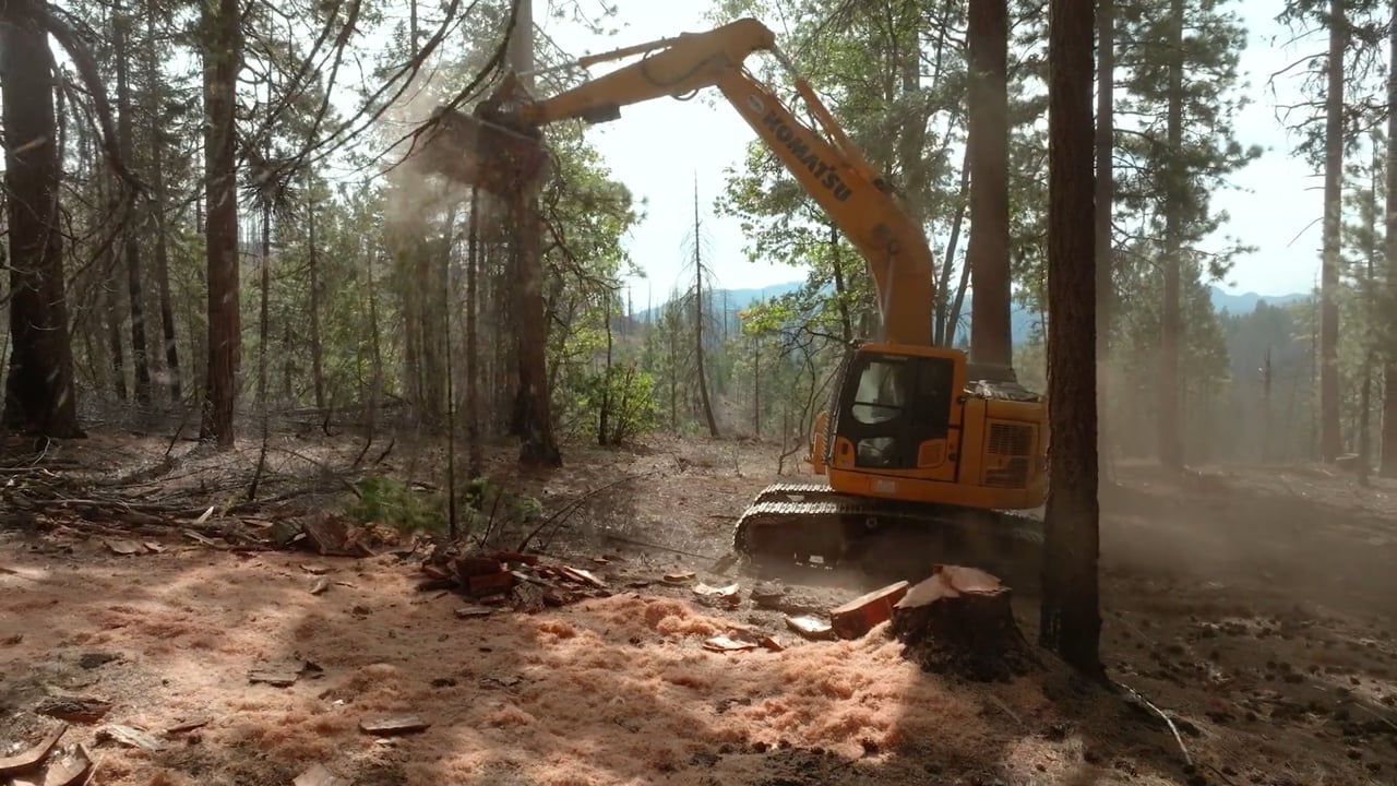 California Forest Service Conservation