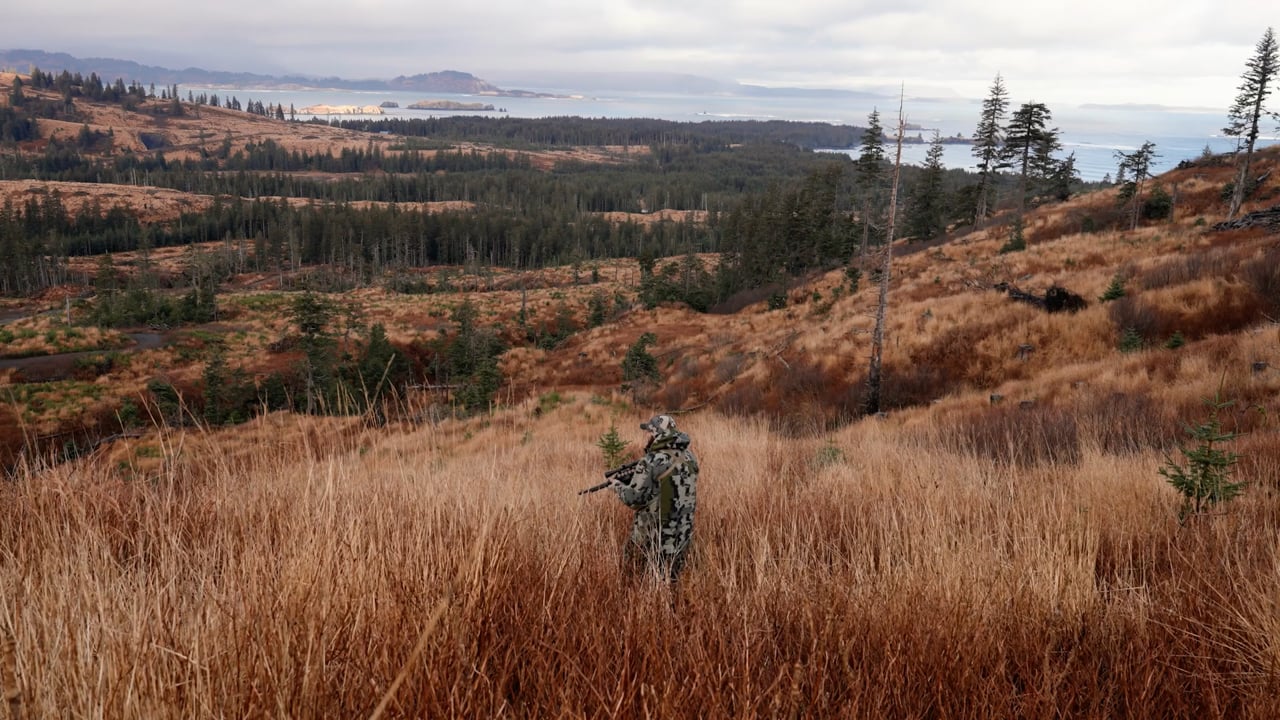 Black Tail Deer — Kodiak Island