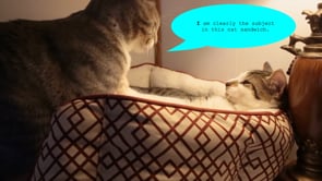 Related Embedded Video Item Thumbnail