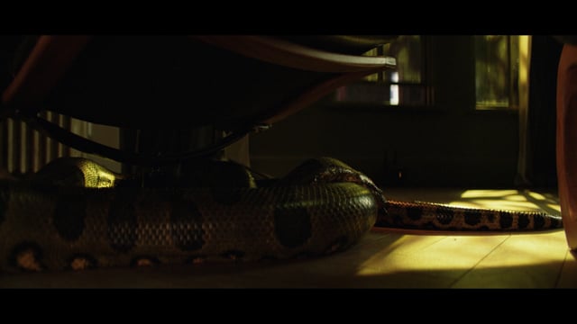 EE / Snakes