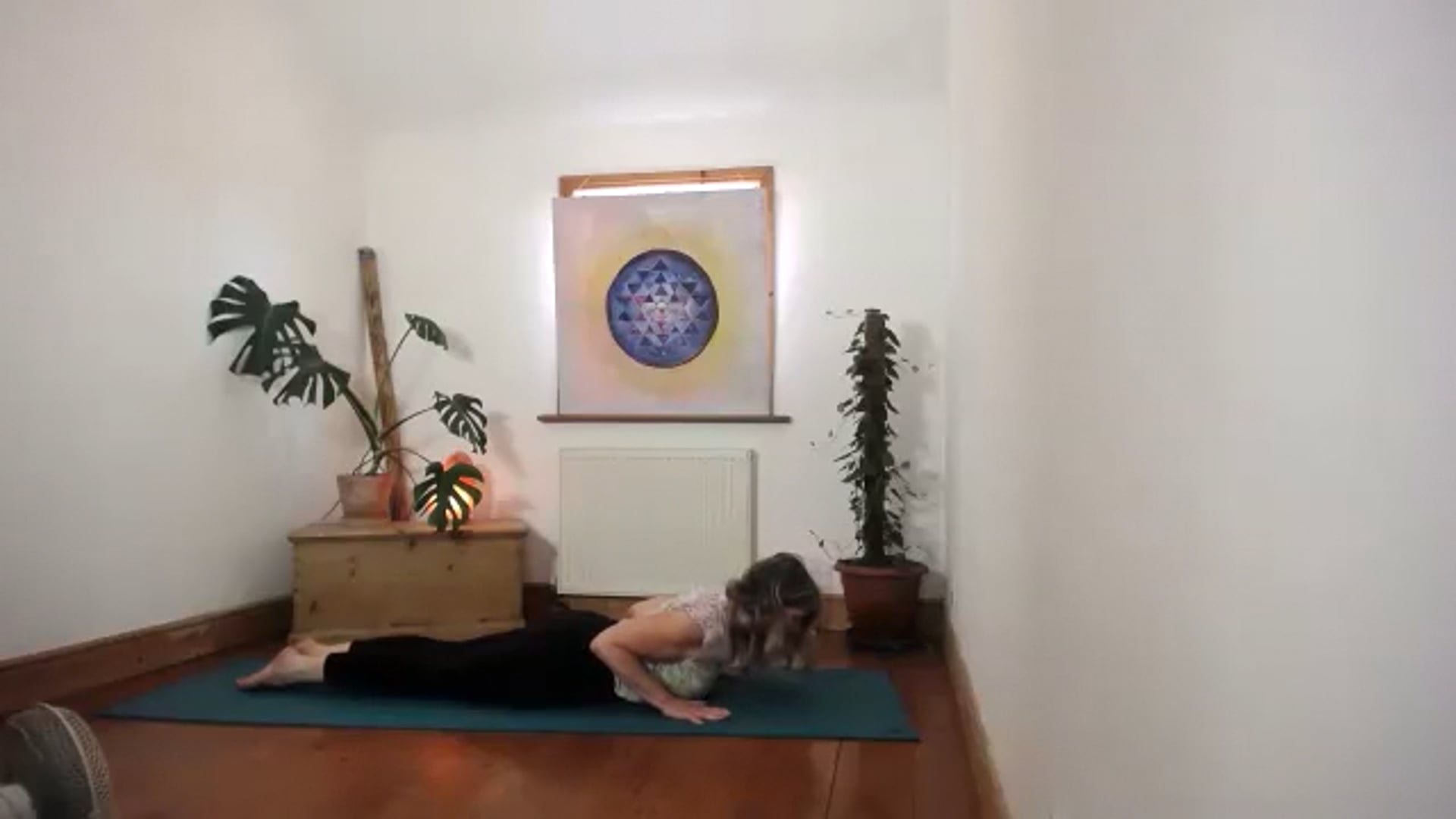 Gentle wk6 Supporting the body in wellness.