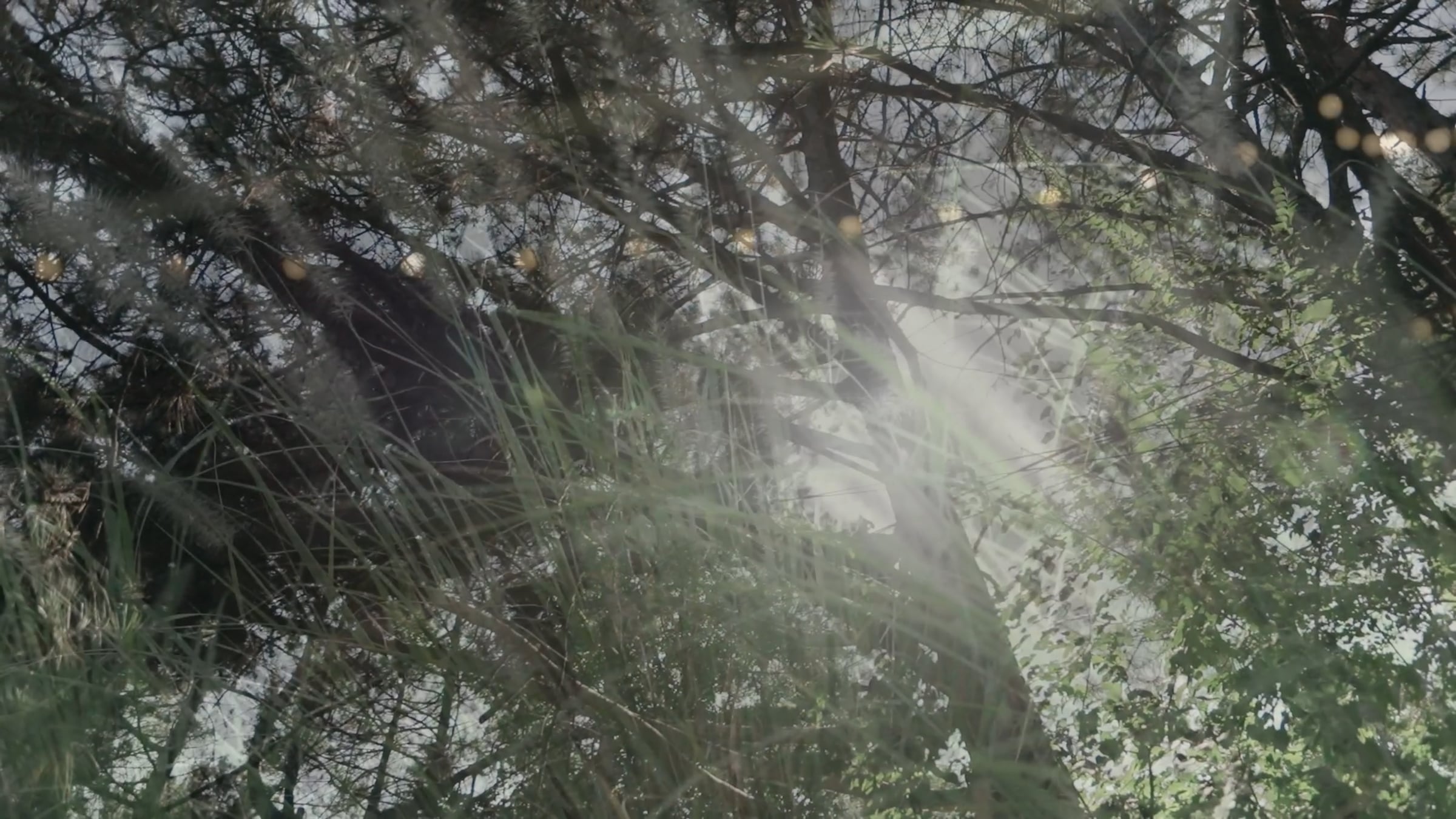 Marius and Katy wedding film still