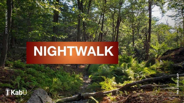 Jun 12, 2026 – Night Walk