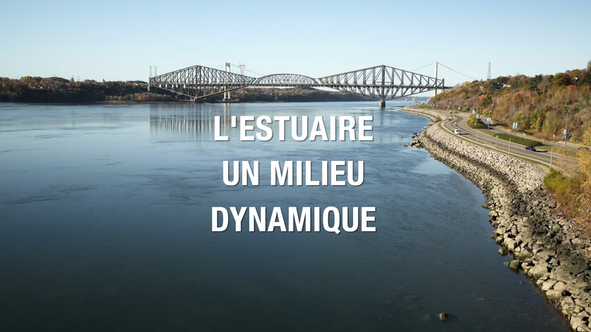 L'estuaire, un milieu dynamique - La route bleue