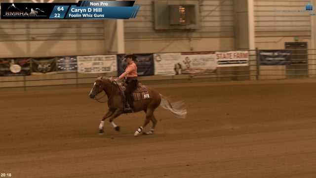 #22 Caryn D Hill
