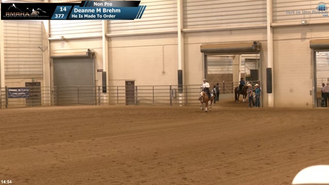 #377 Deanne M Brehm