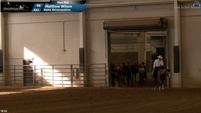 #441 Matthew Wilson