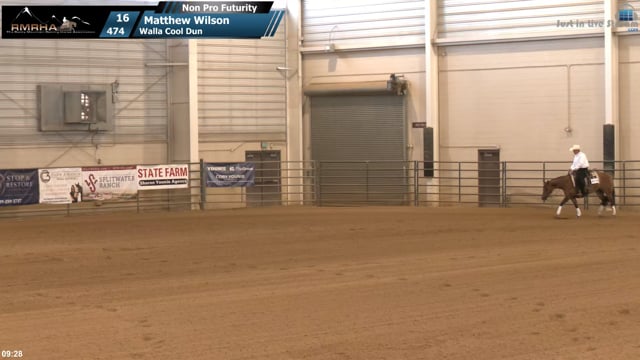 #474 Matthew Wilson