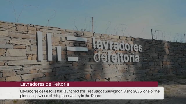 EP 95 | Wine Tourism News