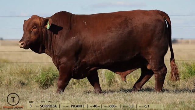 Lote 03
