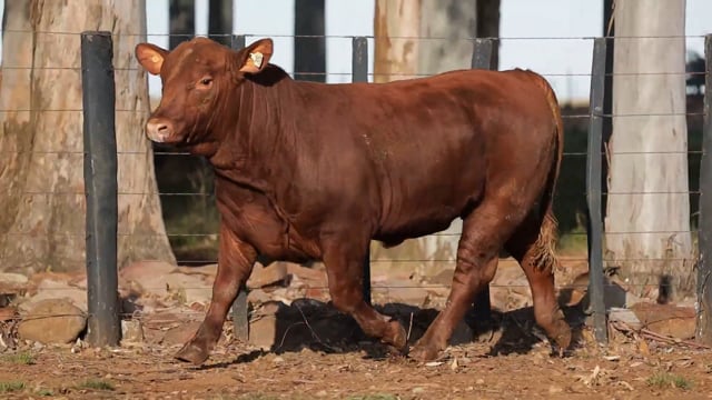 Lote 05
