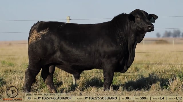 Lote 38