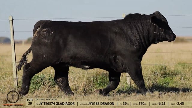 Lote 39