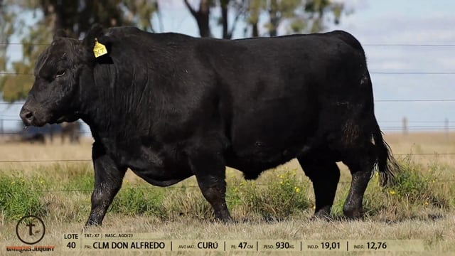 Lote 40