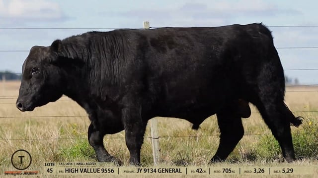 Lote 45