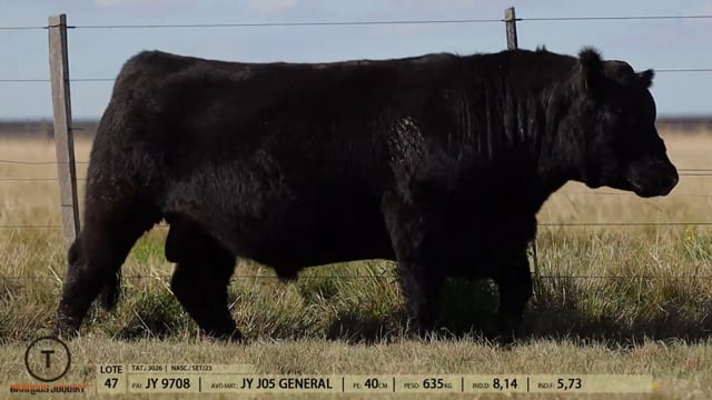 Lote 47