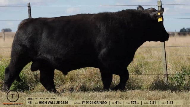 Lote 48