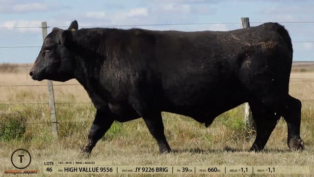 Lote 46