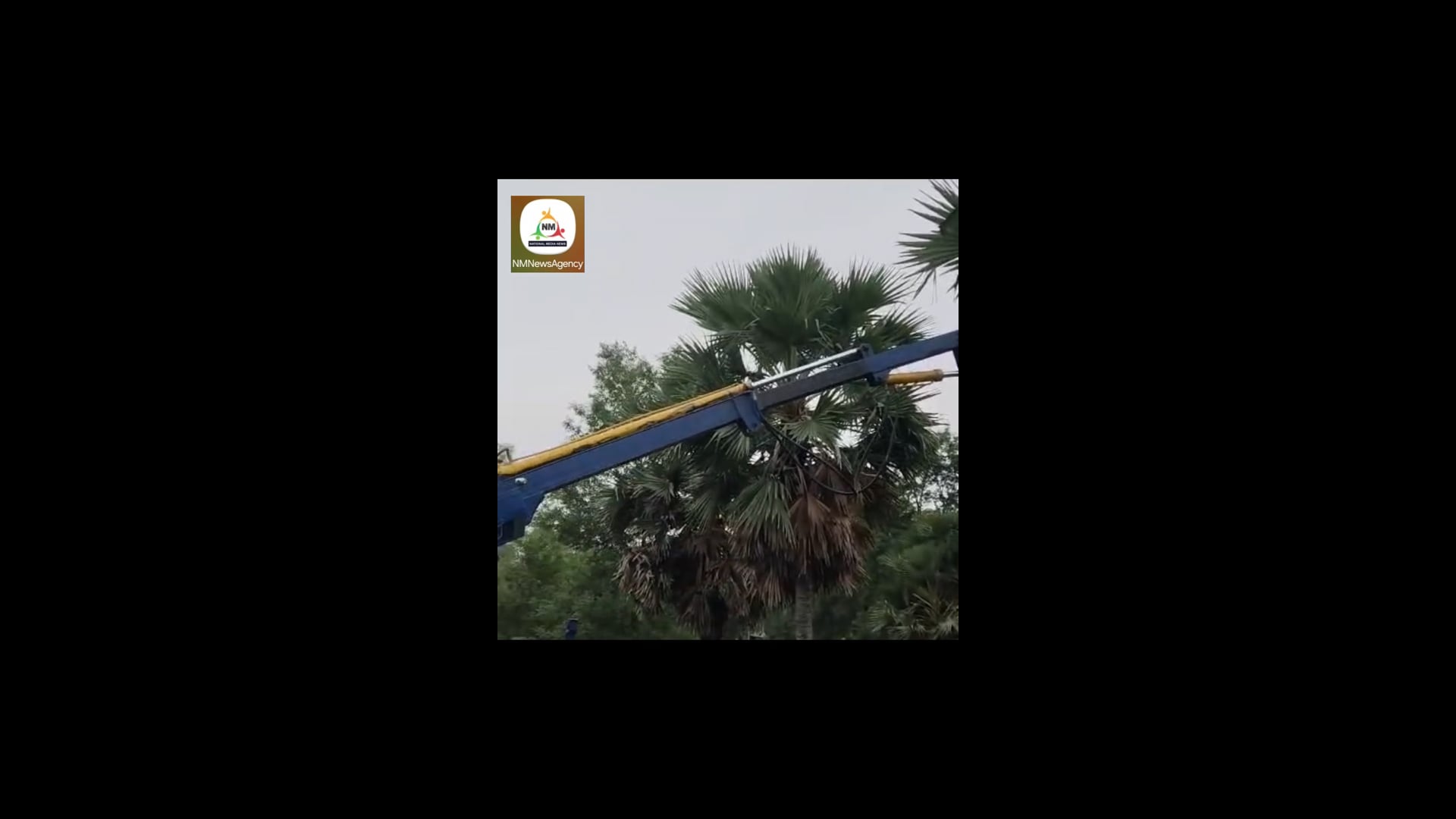 पेड़ों की छटाई होने से बिजली आपूर्ति रही बाधित उपभोक्ता रहे परेशान