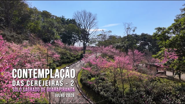 Capa do vídeo do “Contemplação das Cerejeiras - Solo Sagrado de Guarapiranga | Julho / 2025”.