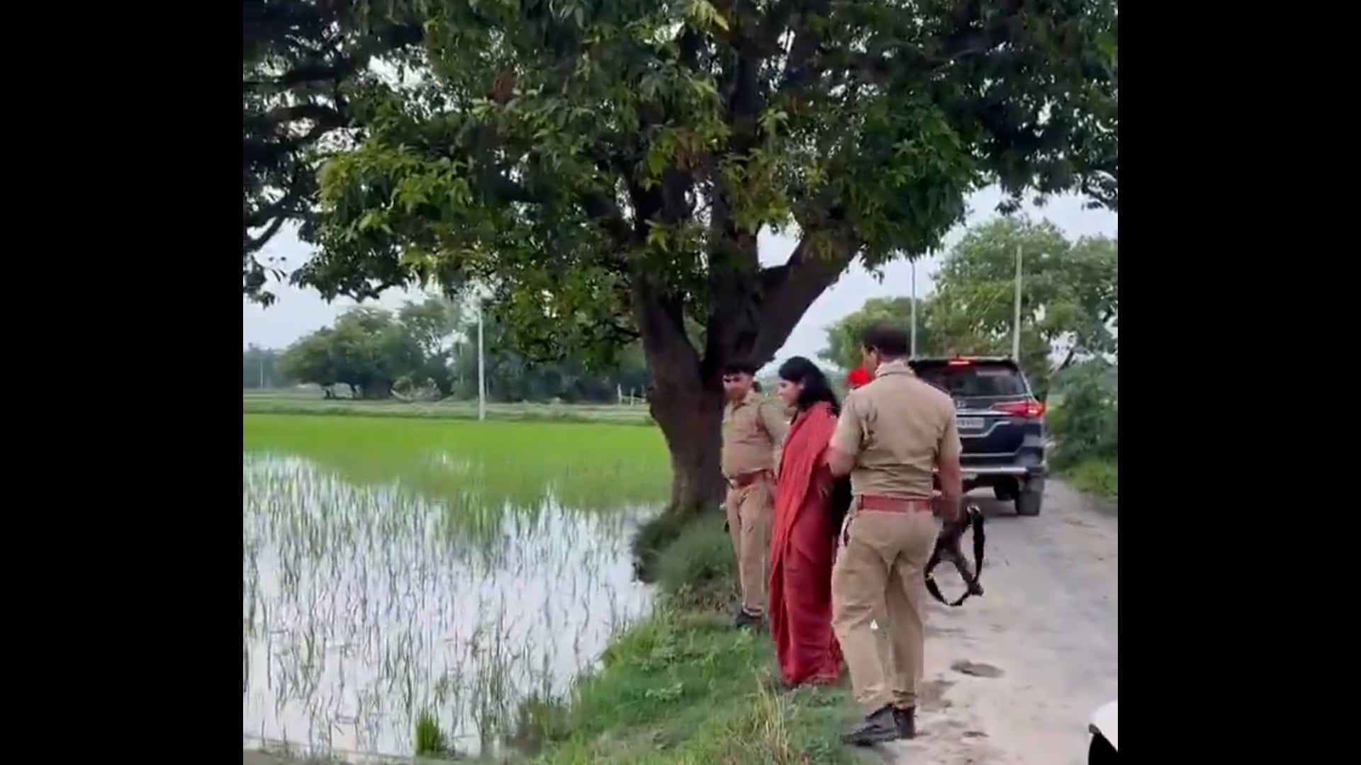 ये हैं जौनपुर के मछलीशहर की सांसद प्रिया सरोज!!
इनको यह भी नहीं पता है कि धान को कैसे लगाते हैं!!
मैडम जी बीते कई महीनों के बाद ये अपने क्षेत्र में दिखेंगी तो ओ भी रील बनाने के लिए..!!*
१. अभी धान लगाने का रील बनाई हैं, अब आराम से दो चार महीनें बाद फिर धान काटनें का रील बनानें आयेंगी।
२. धान की रोपाई *मेड़ पर खड़े होकर* पूछने से नहीं होती, खेत में उतरकर होती है।
*और इनके समर्थक इन्हें पिछले दो साल से ज़मीन से जुड़ी नेता बताते फूले नहीं समा रहे हैं।*