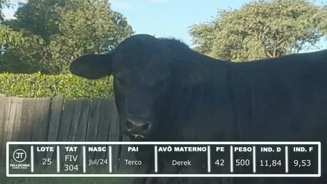 Lote 25