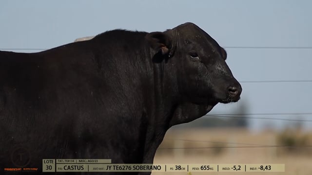 Lote 30