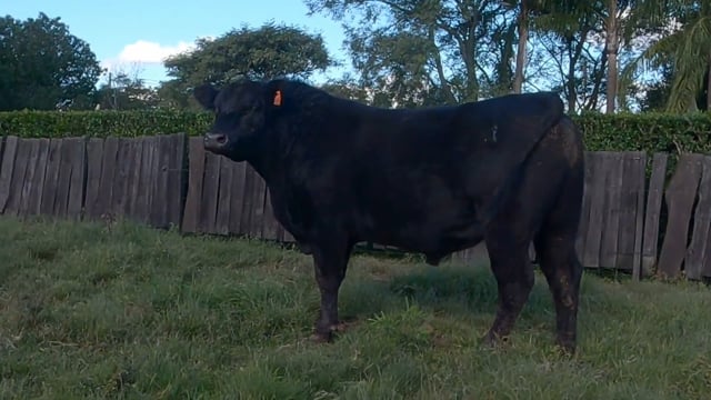 Lote 58