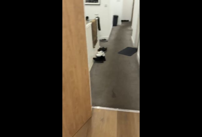 Video 1: 
