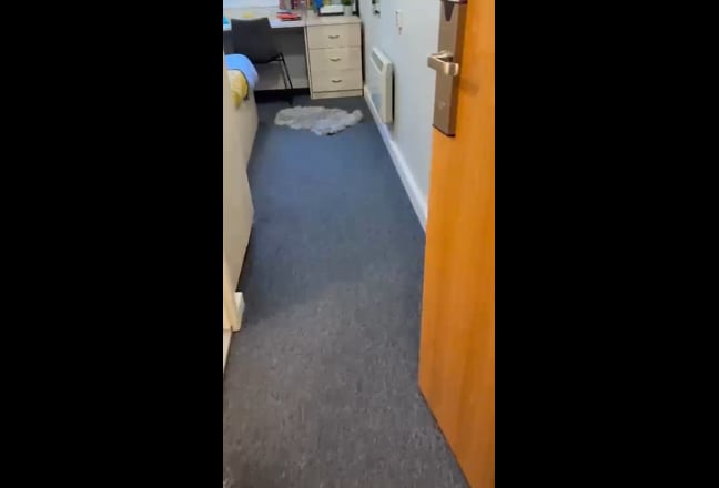 Student Ensuite Room – Jubliee Campus Nottingham Main Photo