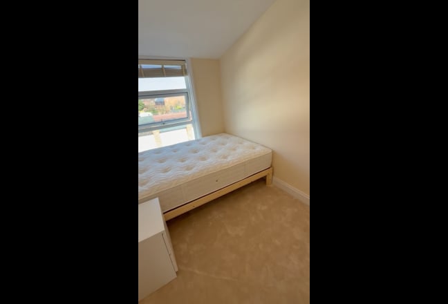 1 bedroom available in spacious 3 bedroom house Main Photo