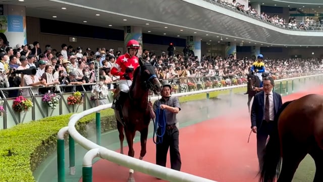 動画サムネイル