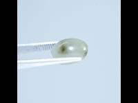 C.E 11