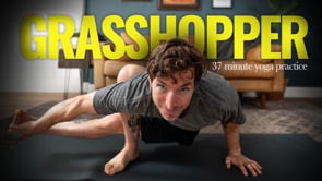 Related Embedded Video Item Thumbnail