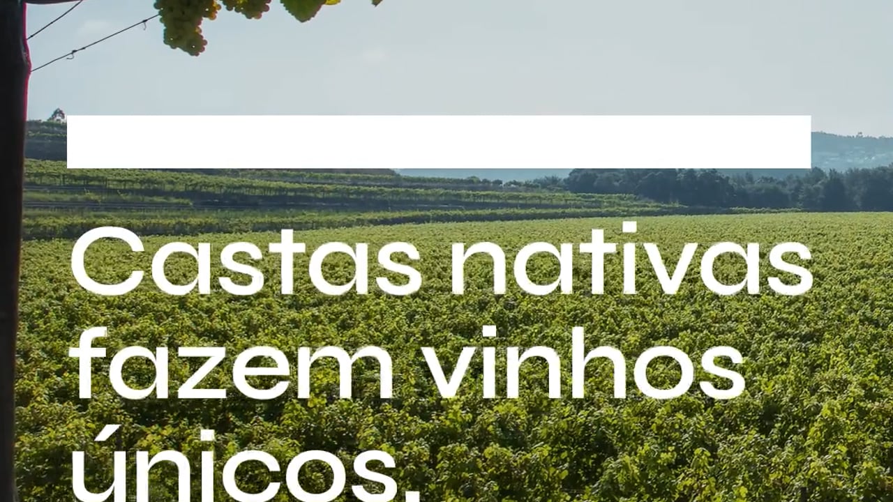 Vinhos Verdes (CVRVV - Comissão de Viticultura da Região dos Vinhos Verdes) 5