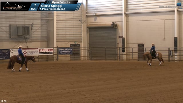 #464 Gloria Spiaggi